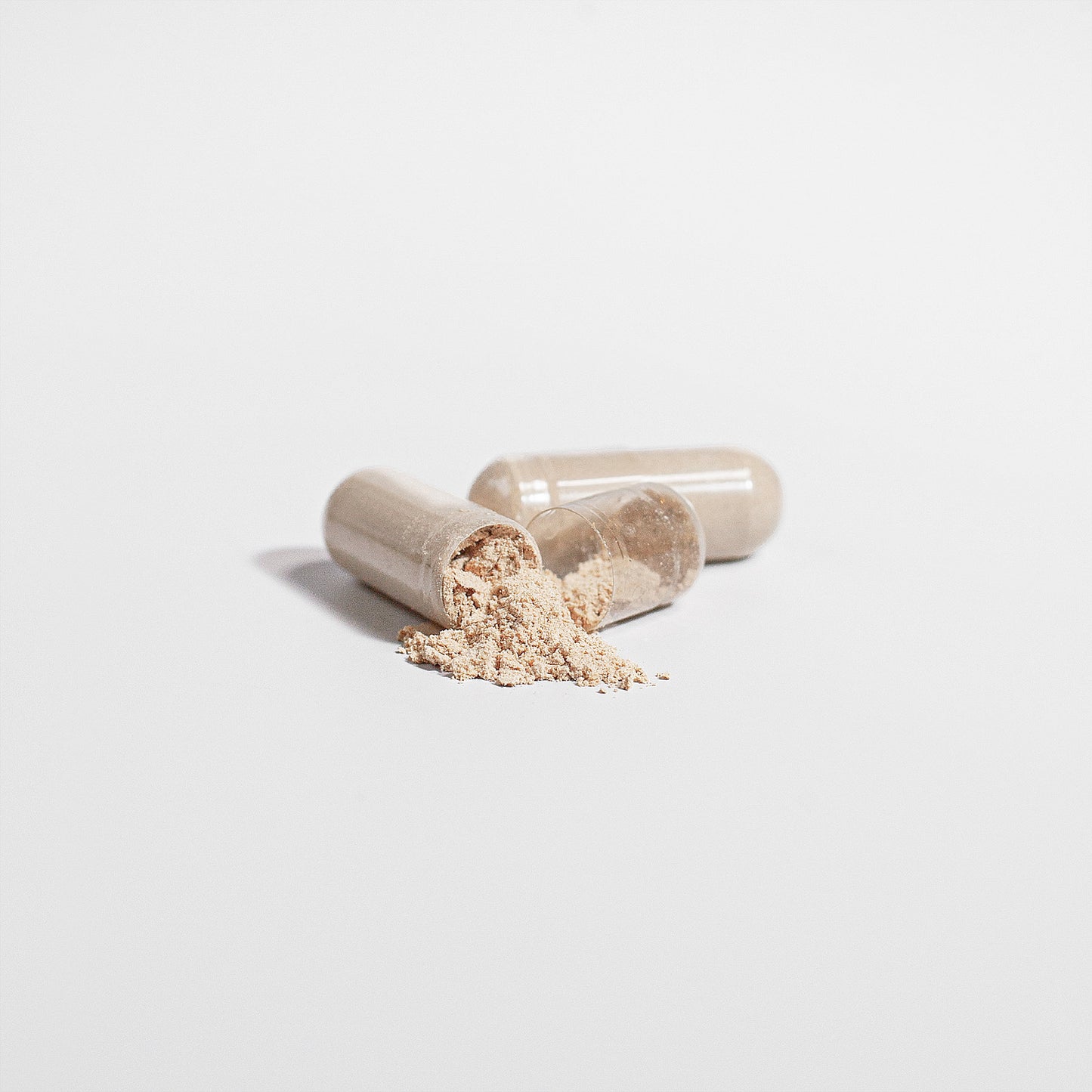 ManeMind    (Lion's Mane Mushroom)